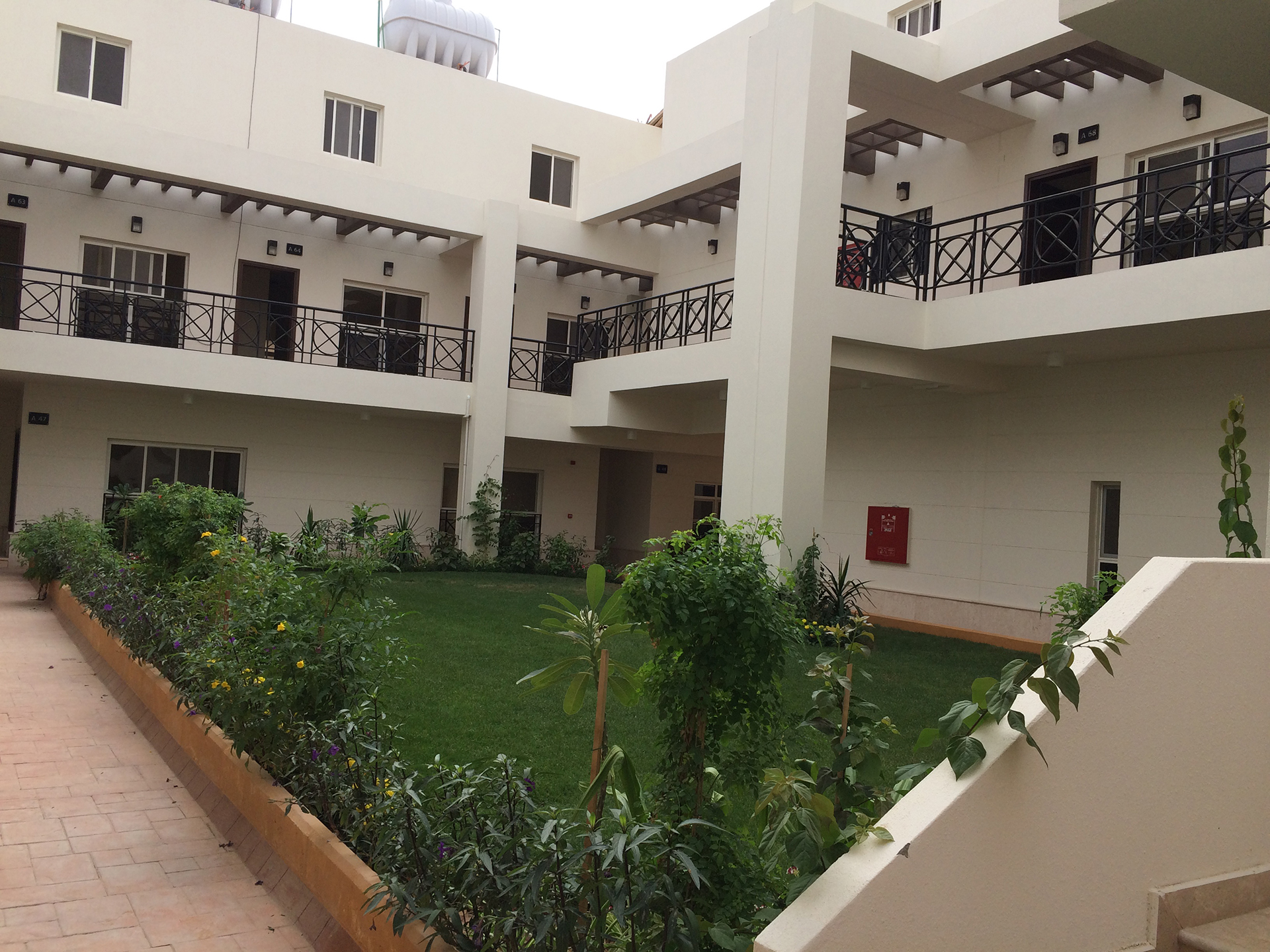 rasel-compound5